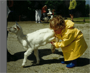 Knowing what you want to do from an early age can be more influential than background or ability